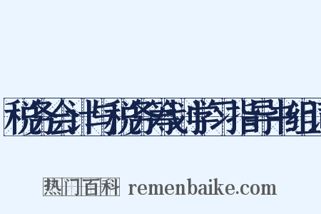 税务会计与税务筹划学习指导书组词是什么意思的图片